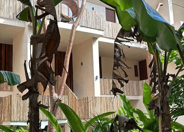 Apartahotel Condohotel Tsonot, En Luum Zama